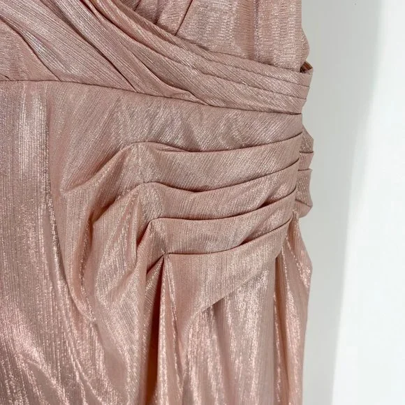 NWT Retrofete Yesi Lamé Maxi Dress in Dusty Pink